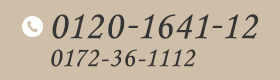 0120-1641-12 0172-36-1112